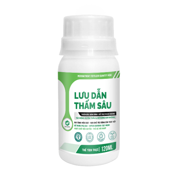 PBVL QUANTITY NEW - LƯU DẪN THẤM SÂU