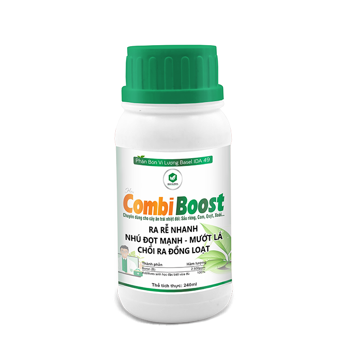 COMBI BOOST