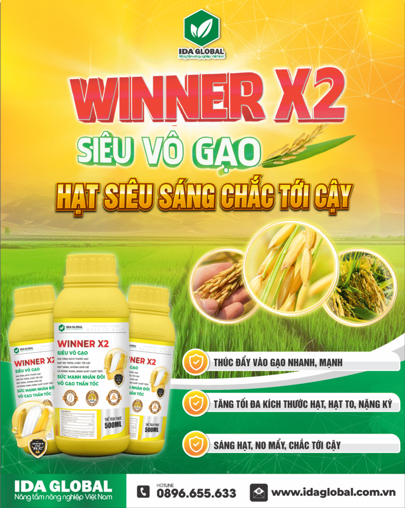 WINNER X2 – Siêu vô gạo giúp hạt chắc tới cậy, sáng đẹp, no tròn. Giải pháp vô gạo thần tốc, tăng năng suất, giảm lép, nâng cao giá trị hạt gạo.