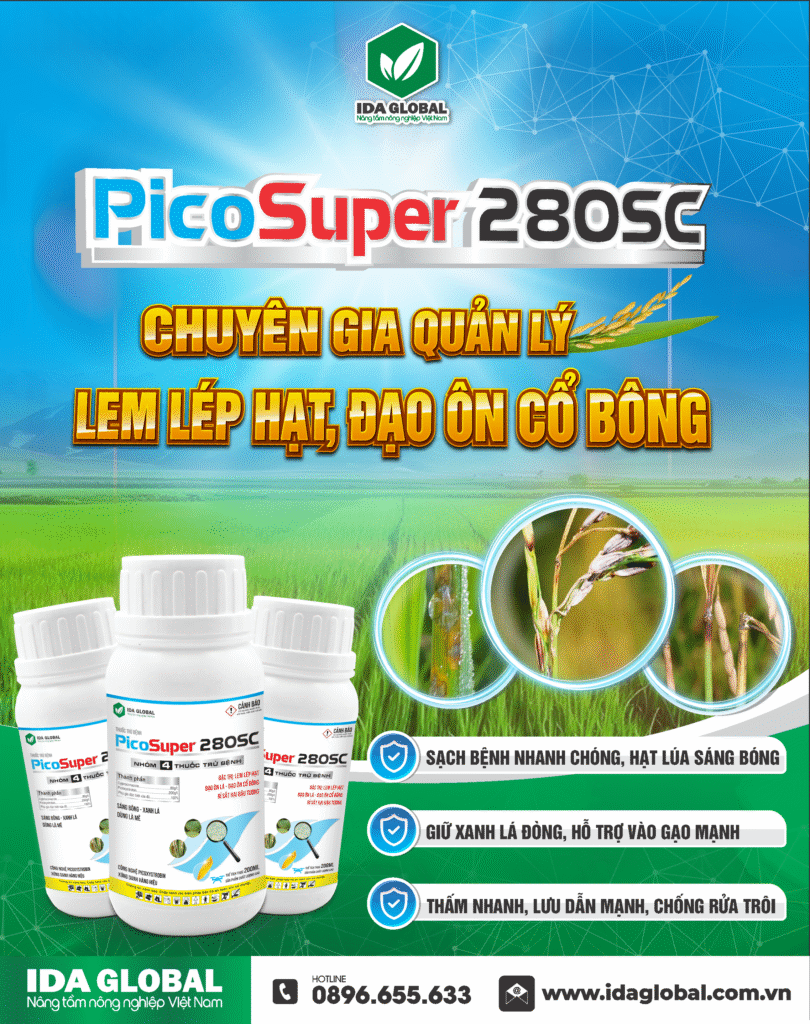 PICOSUPER 280SC là sản phẩm thuốc trừ bệnh chuyên dùng cho lúa, với công dụng nổi bật trong việc đặc trị lem lép hạt và đạo ôn cổ bông.. Nhờ sự kết hợp giữa hoạt chất mới, công nghệ độc quyền và tác động toàn diện, PICOSUPER 280SC giúp ngăn chặn tận gốc nguồn bệnh gây hại trong giai đoạn quan trọng nhất của cây lúa: trổ đòng – làm hạt – vô gạo.