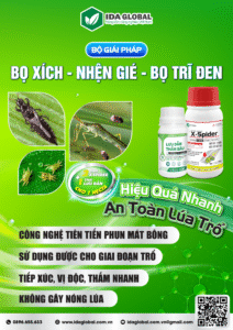 Thời tiết mưa nắng thất thường là điều kiện thuận lợi để bù xích, bọ trĩ, nhện gié bùng phát mạnh, lây lan nhanh và gây thiệt hại lớn! GIẢI PHÁP TỐI ƯU VỚI BỘ ĐÔI X-SPIDER – LƯU DẪN THẤM SÂU