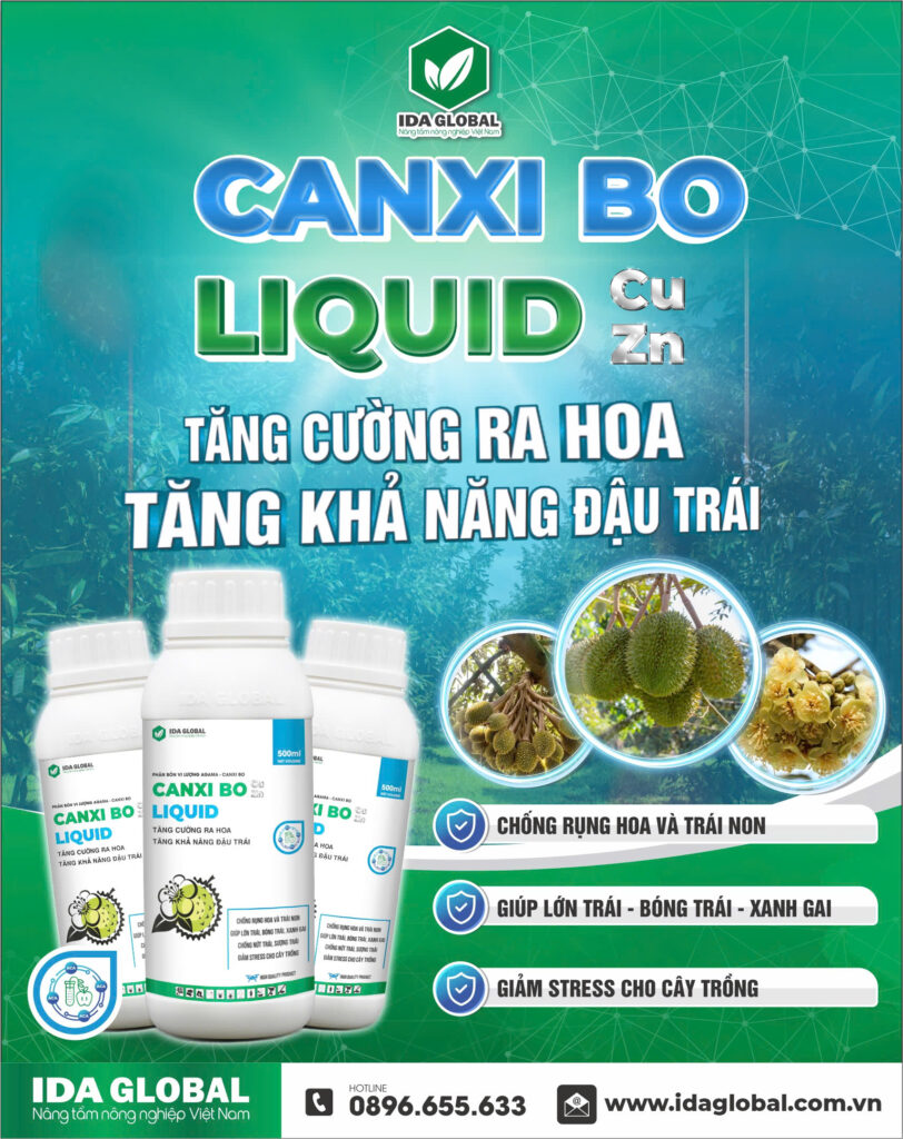 canxi-bo liquid chống rụng bông và trái non hiệu quả